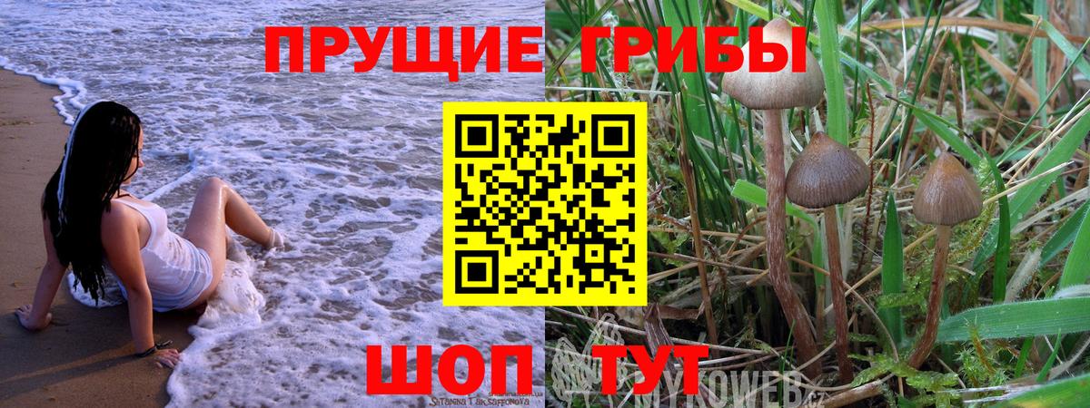 Галлюциногенные грибы мухоморы  Галлюциногенные грибы MAGIC MUSHROOMS  Вход с VPN  Югорск 